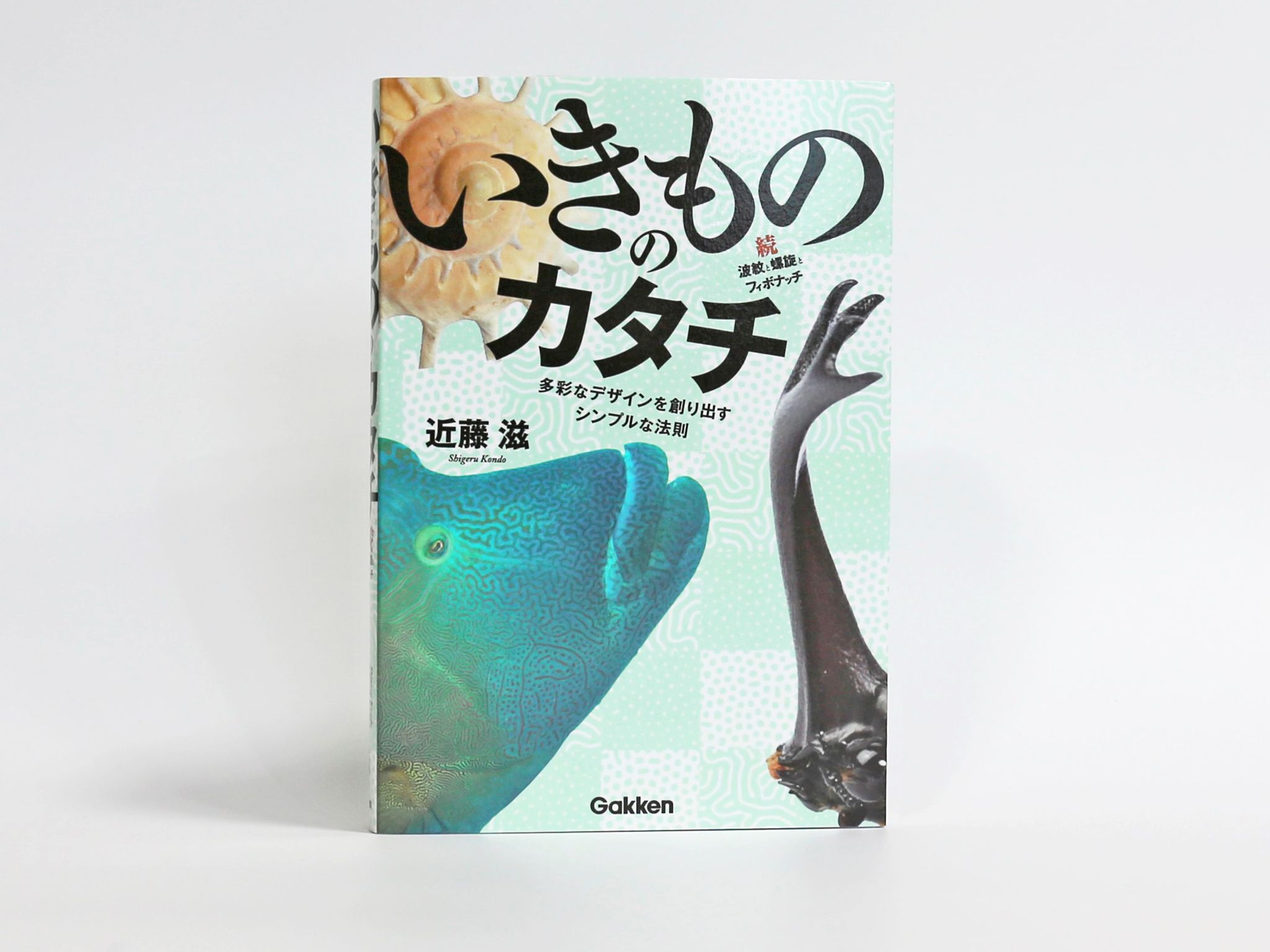 『いきもののカタチ 続・波紋と螺旋とフィボナッチ――多彩なデザインを創り出すシンプルな法則』