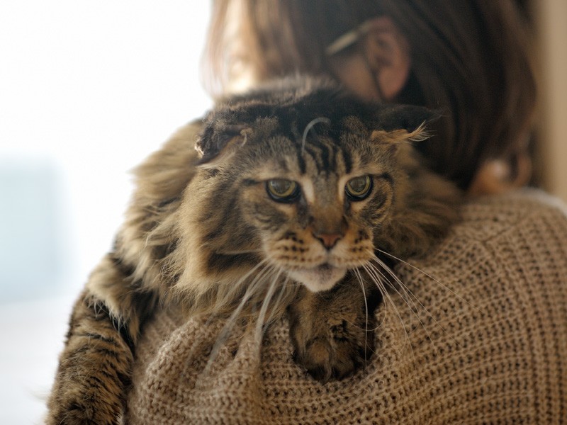「お母さん、僕の背中にかみつかないで」（小林写函撮影）