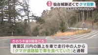 仙台城跡近くでクマの目撃情報　冬を迎えても出没が続く