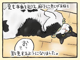 猫の適温って！？　エアコンON／OFFでゴロン＆ギュ～を繰り返す猫らの夏