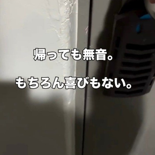 アラフィフ女性…帰っても無音。喜びもなかったが…（テンくんの飼い主さん、Instagramよりキャプチャ撮影）