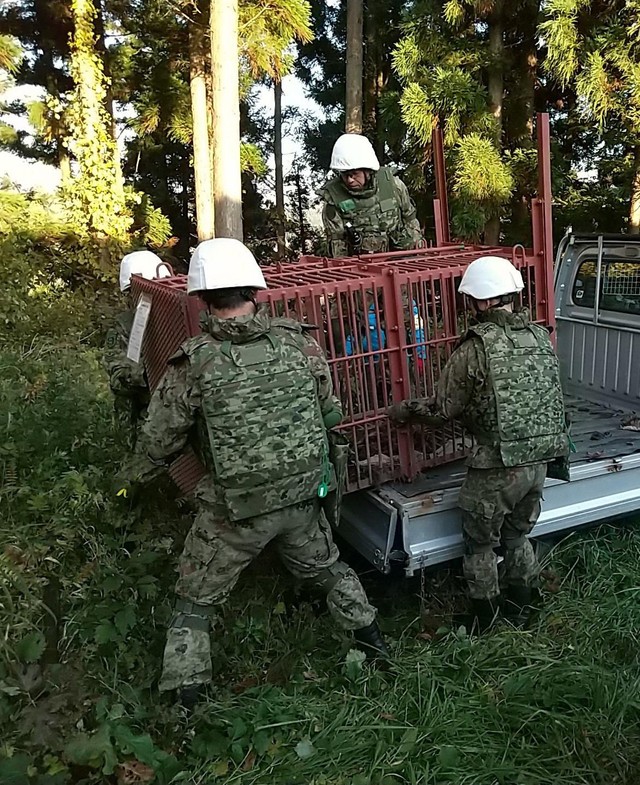 「クマ対策支援」のため陸上自衛隊を派遣：小泉進次郎防衛大臣　X