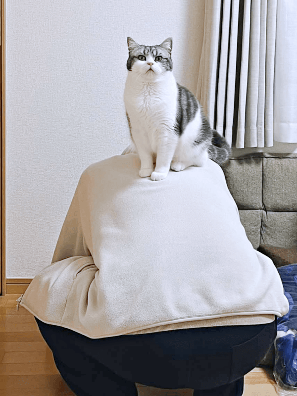 トイレ掃除するパパの背中に登頂するぽぽちゃん（画像提供：Nanaさん）