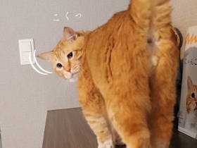 メリーぐリスマス！　聖夜の願いは「お太りさま猫」改め「妖怪人間ぐっぴー」