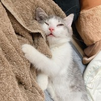 安心して寝ている姿は幸せそのもの