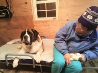 ミントハウスに設置された折り畳みベッドに腰掛けるミントちゃんとお父さん