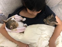 2匹一緒で良かった＝もずく＆こんぶ（保護猫・姉弟）さん（@mozukon_xiaomao）提供