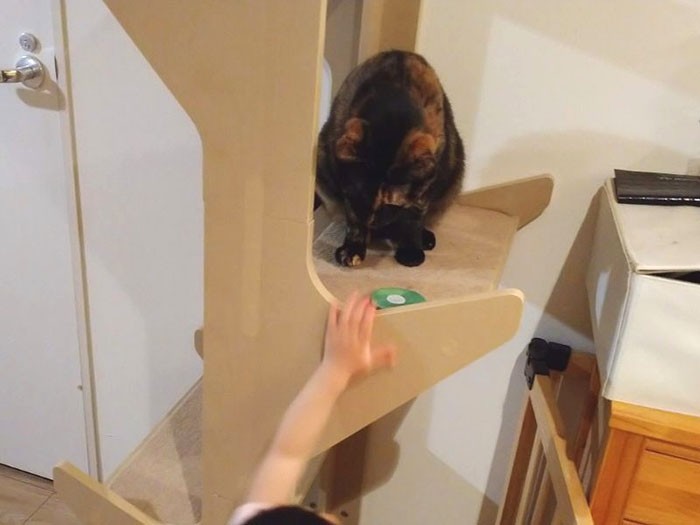 あんずの前に果物ワッペンを置く娘