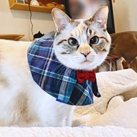 ルールーちゃんはkaoruさんの創作活動の原動力になっています（画像提供：kaoruさん）