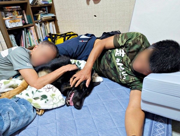 飲み会中のひとコマ。飼い主さんの友人に囲まれて寝そべるカムイくん（画像提供：ばいぱー viper__503 避難所さん）