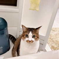 お風呂に必ずついてくる＝maron.no.kokoroさん提供