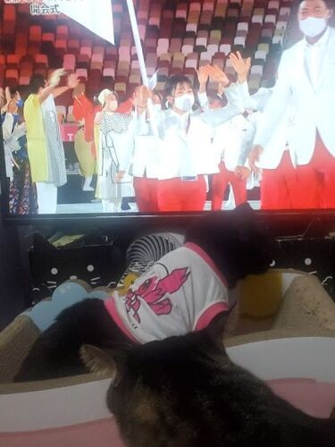 昨年の夏に体調を崩したイヌオが立ち直ってくれてうれしい。シニアは一日一日が大事ですね