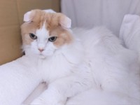 抗がん剤治療を頑張った日々