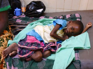 年に2億人がかかる感染症　マラリア対策はいま、大きな転換点に