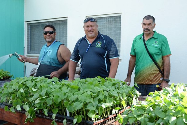 クック諸島の農業省の職員ら＝2022年6月23日、クック諸島ラロトンガ島、荒ちひろ撮影