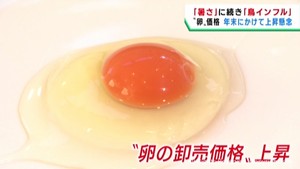 年末年始の食卓に欠かせない卵が高騰　更なる価格上昇も懸念