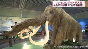 マンモスのロボットも登場　仙台市科学館で古代生物の歴史を学ぶ「化石動物園」