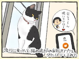 猫語翻訳アプリで知りたい、あなたのこと！　スマホ片手に待ちわびる猫らの「ニャー」