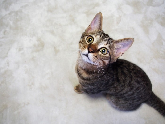 詩ちゃん似のまさくん