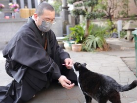 愛するペットとの別れ、飼い主はどう受け入れたら？　供養を行う寺の住職に聞く