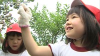 大きいのとれたかな？園児がブルーベリーの収穫体験　香川・善通寺市