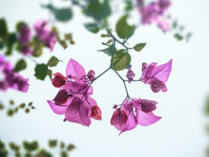 友達の姿がまぶしくて、ヤングケアラーだとは言えなかった