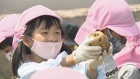 高松市で園児たちがジャガイモの収穫を体験