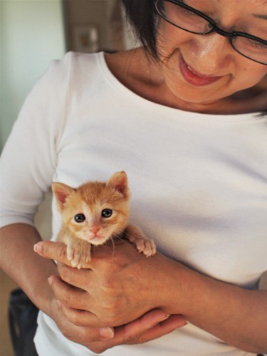 抱っこして、すっかり人馴れした子を送り出す