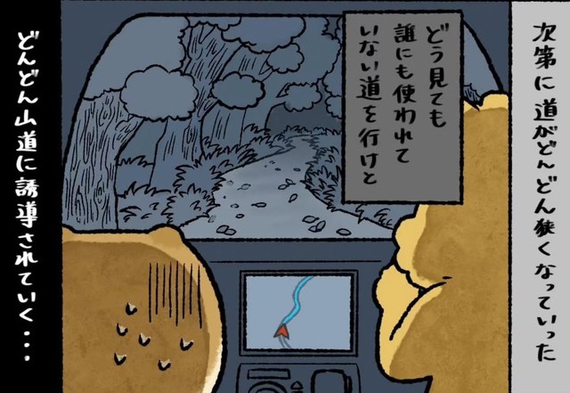 カーナビに導かれるまま山道に…（ゆう｜ノープロブレムキャットさん提供）