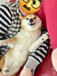 ムキ顔もかわいらしいあずきちゃん（画像提供：林さん）