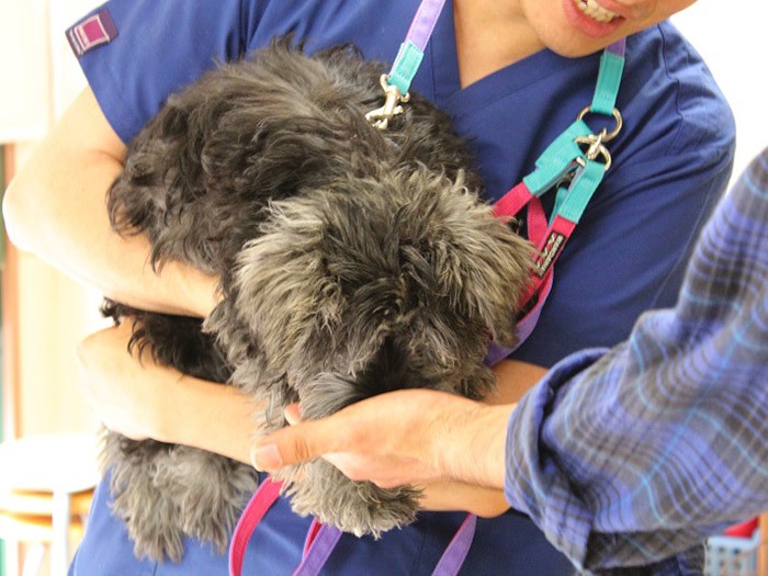 人とのコミュニケーションの第一歩「社会化おやつ」