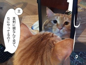 愛猫ぐっぴーもマスク生活から解放されたい！　でも顔のたるみが怖い！？