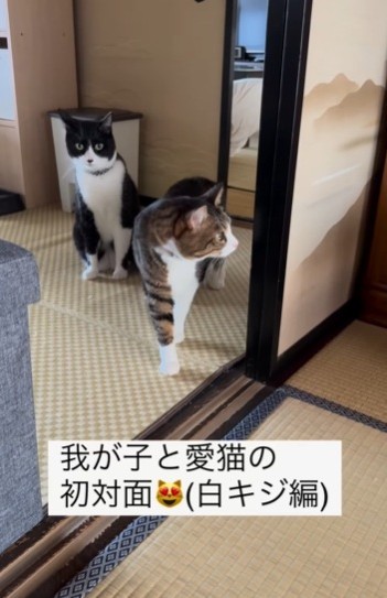 赤ちゃんと初対面する元保護猫2匹が話題に（赤ちゃんのママさん提供、Instagramよりキャプチャ撮影）