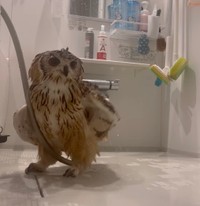 ホースが両足の間に…！（提供：@mozmoz0704さん）
