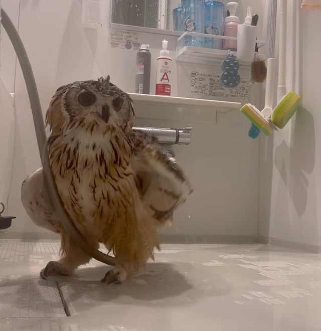 ホースが両足の間に…！（提供：@mozmoz0704さん）
