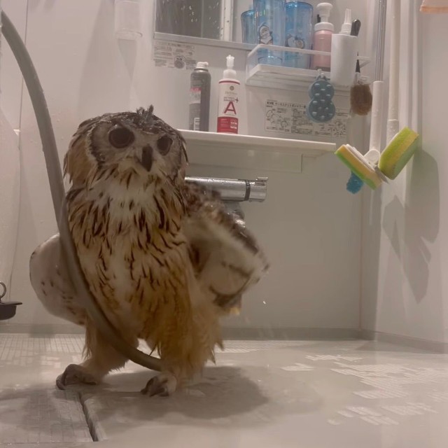 ホースが両足の間に…！（提供：@mozmoz0704さん）
