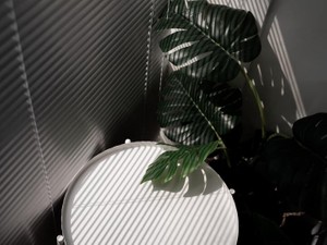 体調を崩して気付いた譲れない条件。いつか憧れの暮らしを