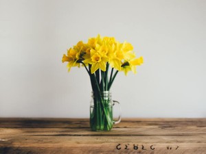 「ルッキズム」を否定している私が、ミスコンに出た理由と素直な感想