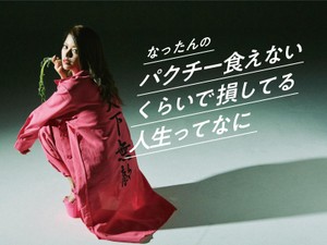 きらめく星のなったんのフォトギャラリー