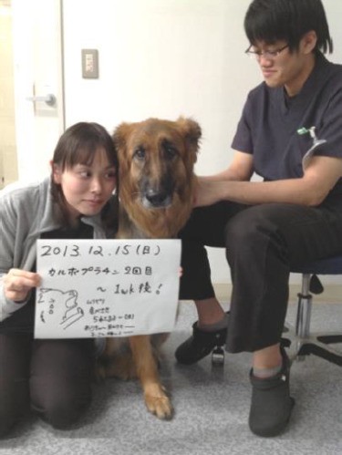 番長とのかけがえのない一日一日を、写真に収める（三橋さん提供）