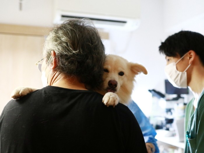 エコー検査が終わるのをじっと待つ大吉