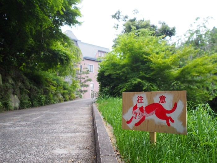 田んぼ道から丘に上っていく館へのアプローチ。