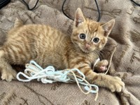 おもちゃ遊び大好き！