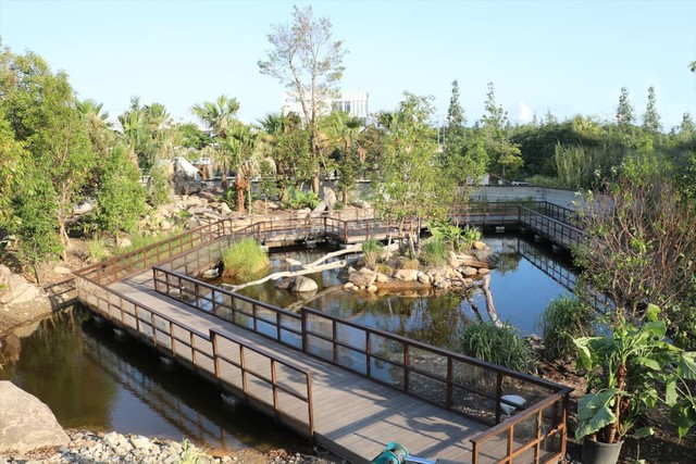 「亜熱帯の森の中にある湿地」に敷かれた木道を進みカワウソを観察します（画像は神戸どうぶつ王国公式サイトから）