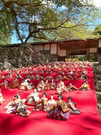 「古都秋月　後の雛り」で石段に並べられた雛人形