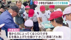 地元に伝わる伝統のシロウオ漁を小学生が体験　宮城・南三陸町