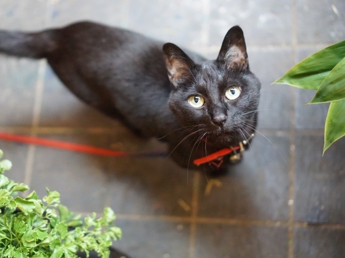 「みんな、また来てね」