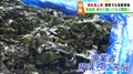 ワカメの芽落ちに苦悩