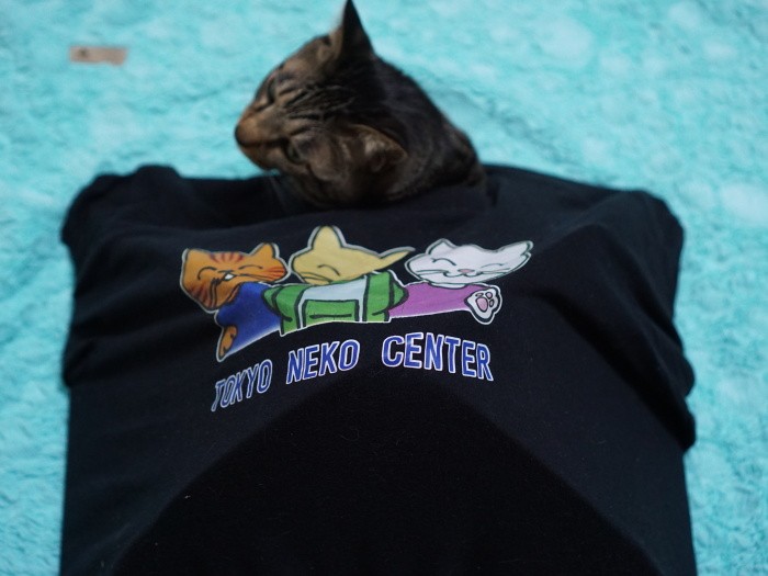 「上から見るとこんな感じ」（うちはＳ～Ｍサイズしかなかったのでテントも小さめに）