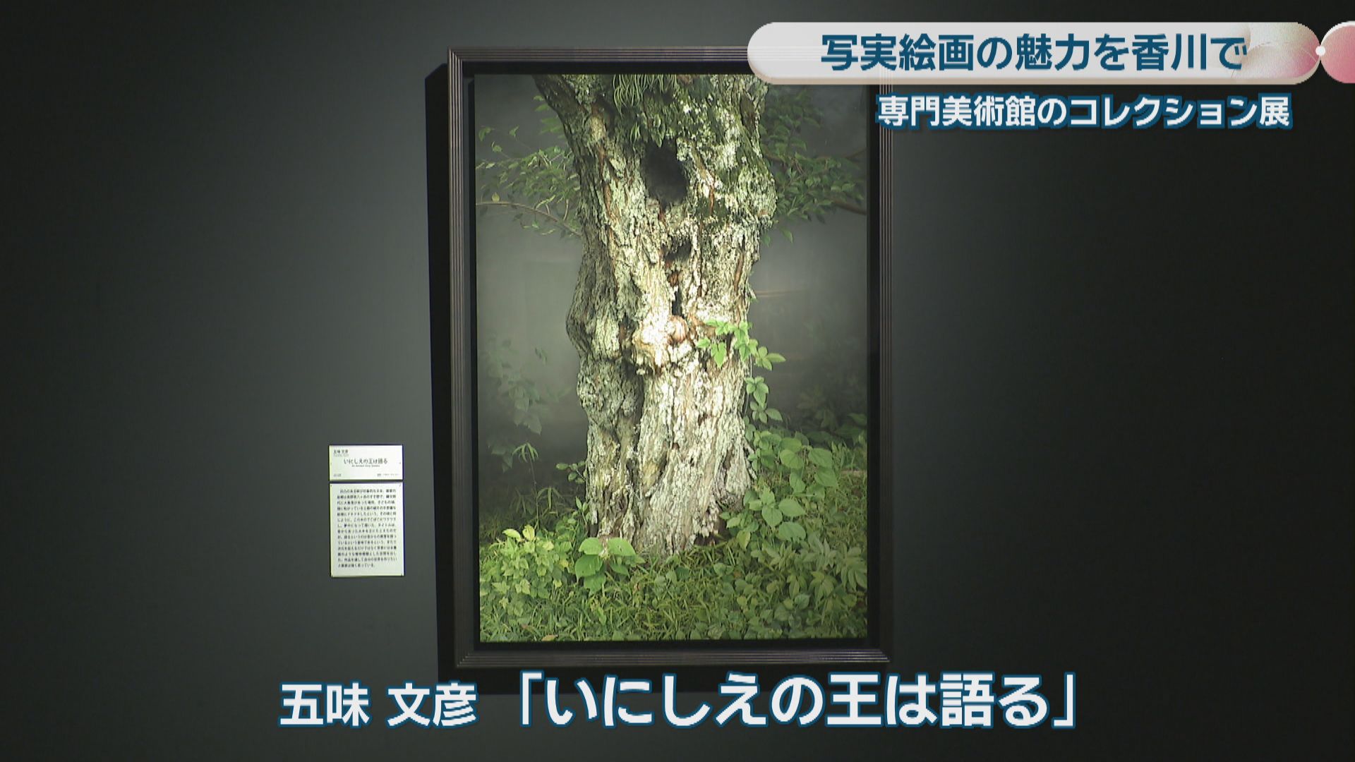 写実絵画の殿堂「ホキ美術館」の所蔵品が香川に 県立ミュージアムで